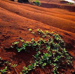 很不错！《合金装备3：重制版》和原版画面对比