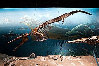 Mod作者弃坑《索尼克：起源》并直言称：“这就是狗屎”